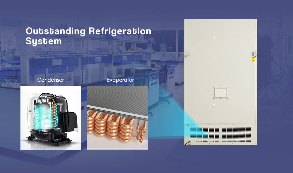 Outstanding Refrigeration System | NW-DWHL398S Deep Freezer For Laboratory